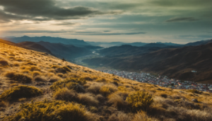 2025년 React Vue 점유율 비교 분석 7 5e249e05 8230 478f ac5e 9e81d5d79609 17